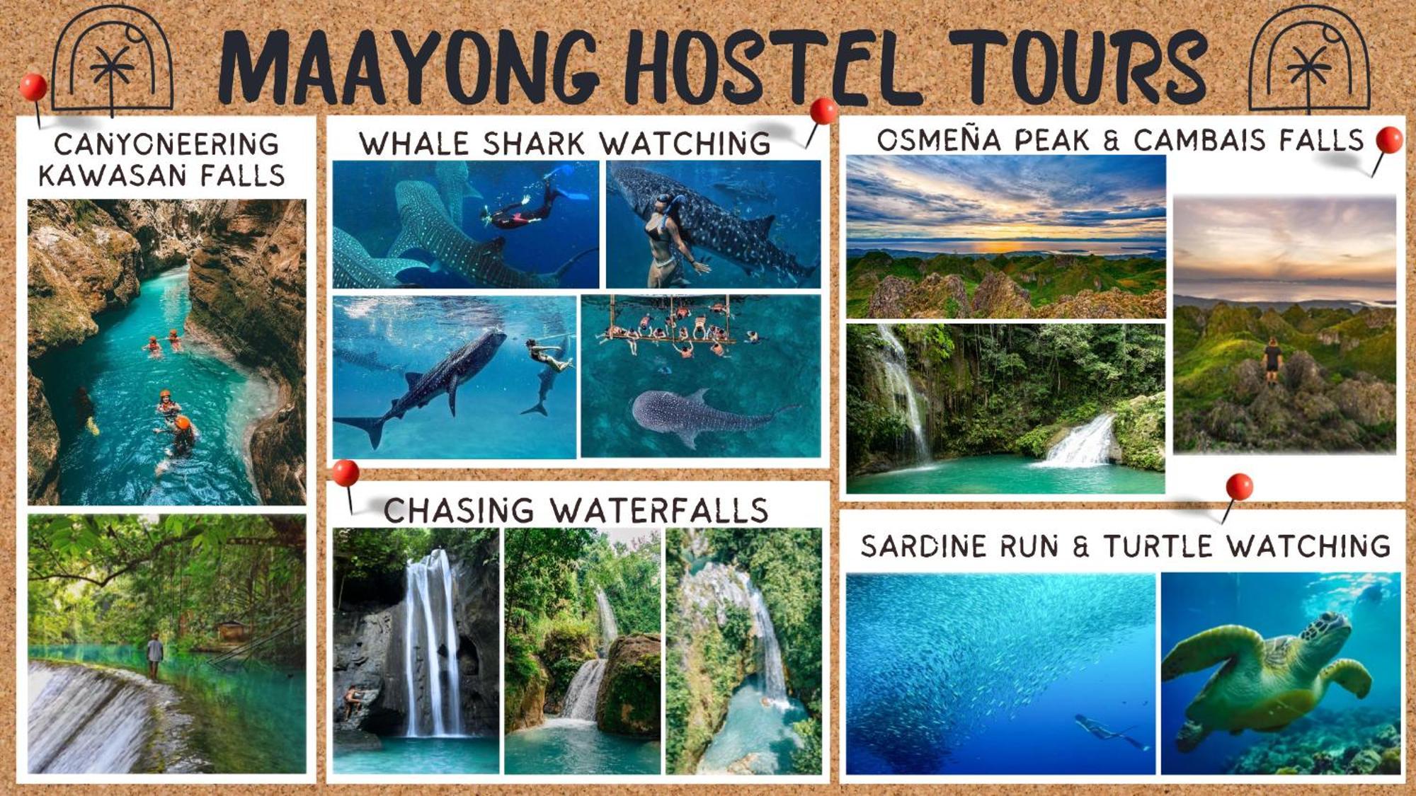 Maayong Hostel (Adults Only) Moalboal Exteriör bild